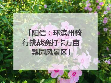 阳信：环滨州骑行挑战赛打卡万亩梨园风景区