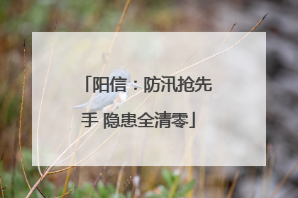 阳信：防汛抢先手 隐患全清零