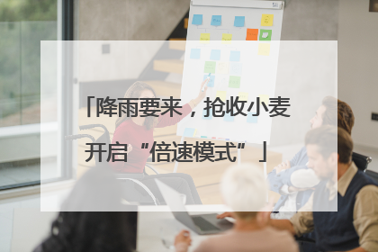 降雨要来，抢收小麦开启“倍速模式”