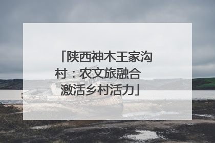 陕西神木王家沟村：农文旅融合 激活乡村活力
