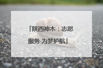 陕西神木：志愿服务 为梦护航