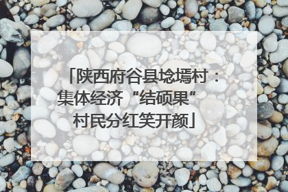 陕西府谷县埝墕村：集体经济“结硕果” 村民分红笑开颜