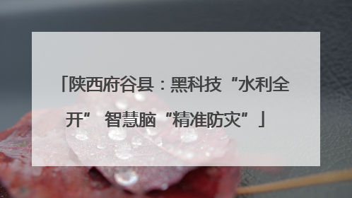 陕西府谷县：黑科技“水利全开” 智慧脑“精准防灾”