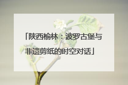 陕西榆林：波罗古堡与非遗剪纸的时空对话