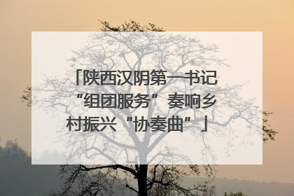 陕西汉阴第一书记“组团服务”奏响乡村振兴“协奏曲”