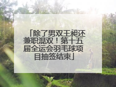 除了男双王昶还兼职混双！第十五届全运会羽毛球项目抽签结束