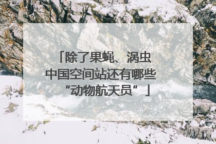除了果蝇、涡虫 中国空间站还有哪些“动物航天员”
