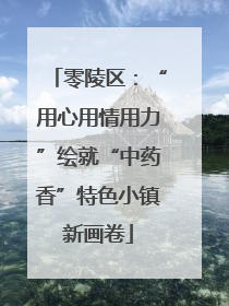 零陵区：“用心用情用力”绘就“中药香”特色小镇新画卷