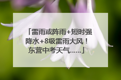 雷雨或阵雨+短时强降水+8级雷雨大风！东营中考天气……