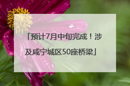 预计7月中旬完成！涉及咸宁城区50座桥梁