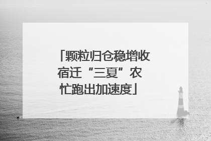 颗粒归仓稳增收 宿迁“三夏”农忙跑出加速度