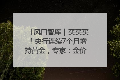 风口智库｜买买买！央行连续7个月增持黄金，专家：金价或仍易涨难跌