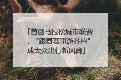 首创马拉松城市联赛，“跟着赛事游齐鲁”成大众出行新风尚