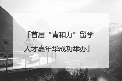 首届“青和力”留学人才嘉年华成功举办