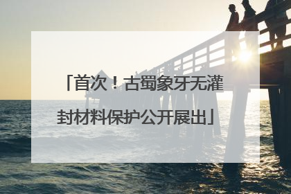 首次！古蜀象牙无灌封材料保护公开展出