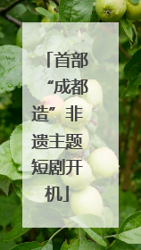 首部“成都造”非遗主题短剧开机