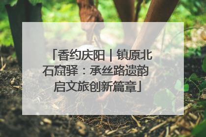 香约庆阳｜镇原北石窟驿：承丝路遗韵 启文旅创新篇章