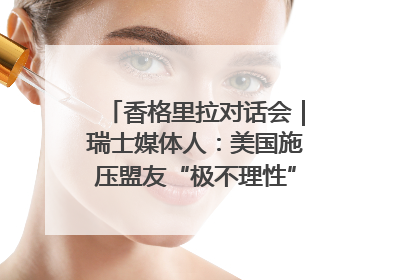 香格里拉对话会｜瑞士媒体人：美国施压盟友“极不理性” 欧洲国家无意与中国“脱钩断链”