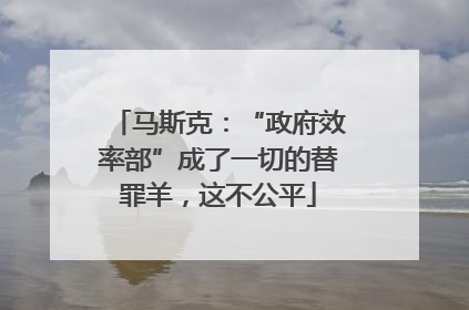 马斯克：“政府效率部”成了一切的替罪羊，这不公平