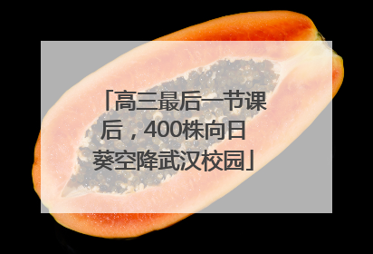 高三最后一节课后，400株向日葵空降武汉校园