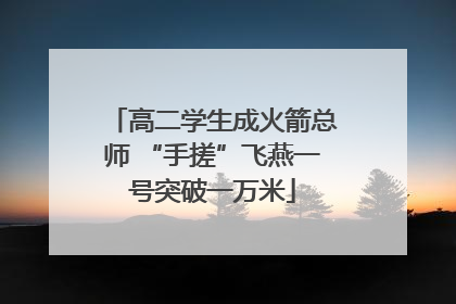 高二学生成火箭总师 “手搓”飞燕一号突破一万米