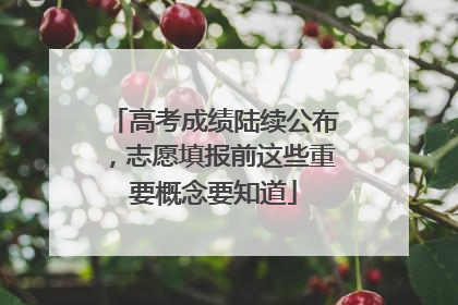 高考成绩陆续公布，志愿填报前这些重要概念要知道