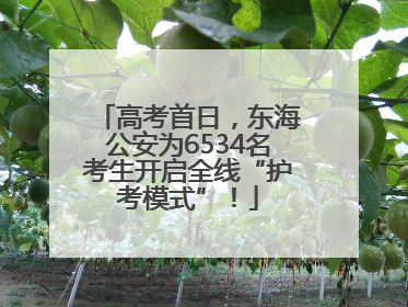 高考首日，东海公安为6534名考生开启全线“护考模式”！