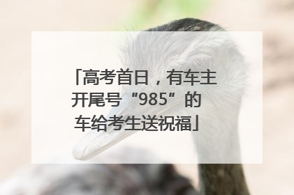 高考首日，有车主开尾号“985”的车给考生送祝福