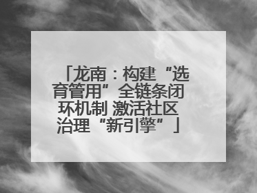 龙南：构建“选育管用”全链条闭环机制 激活社区治理“新引擎”