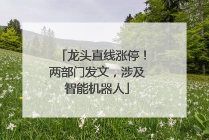 龙头直线涨停！两部门发文，涉及智能机器人