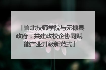 鲁北技师学院与无棣县政府：共建政校企协同赋能产业升级新范式
