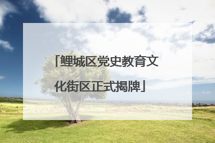 鲤城区党史教育文化街区正式揭牌