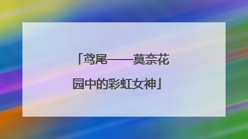 鸢尾——莫奈花园中的彩虹女神