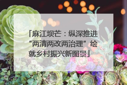 麻江坝芒：纵深推进“两清两改两治理”绘就乡村振兴新图景