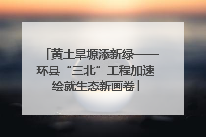 黄土旱塬添新绿——环县“三北”工程加速绘就生态新画卷