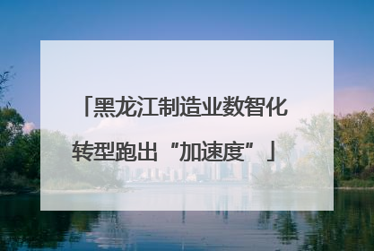 黑龙江制造业数智化转型跑出“加速度”