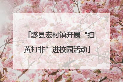 黟县宏村镇开展“扫黄打非”进校园活动