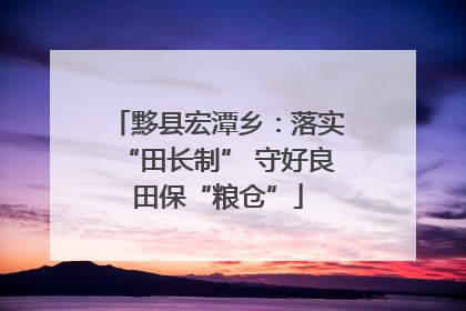 黟县宏潭乡：落实“田长制” 守好良田保“粮仓”