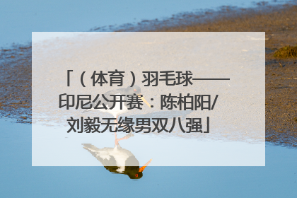 （体育）羽毛球——印尼公开赛：陈柏阳/刘毅无缘男双八强