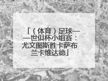 （体育）足球——世俱杯小组赛：尤文图斯胜卡萨布兰卡维达德
