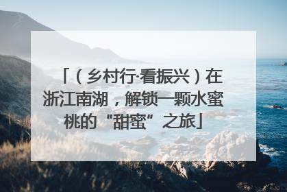 （乡村行·看振兴）在浙江南湖，解锁一颗水蜜桃的“甜蜜”之旅