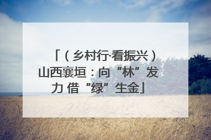 （乡村行·看振兴）山西襄垣：向“林”发力 借“绿”生金