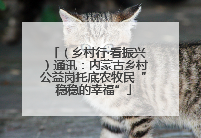 （乡村行·看振兴）通讯：内蒙古乡村公益岗托底农牧民“稳稳的幸福”