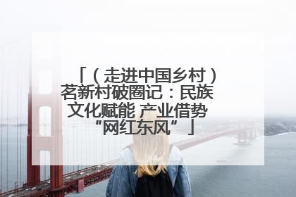 （走进中国乡村）茗新村破圈记：民族文化赋能 产业借势 “网红东风”