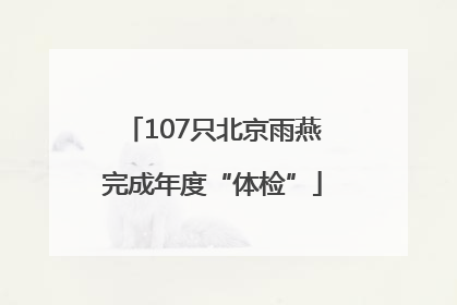 107只北京雨燕完成年度“体检”
