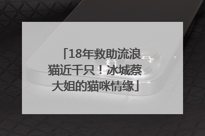 18年救助流浪猫近千只！冰城蔡大姐的猫咪情缘