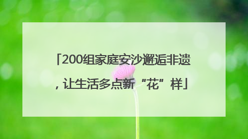 200组家庭安沙邂逅非遗，让生活多点新“花”样