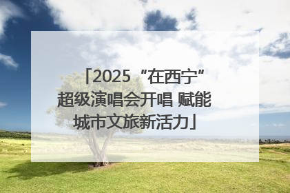 2025“在西宁”超级演唱会开唱 赋能城市文旅新活力