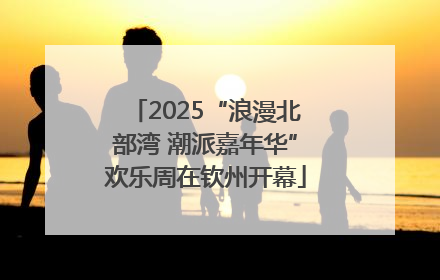 2025“浪漫北部湾 潮派嘉年华”欢乐周在钦州开幕