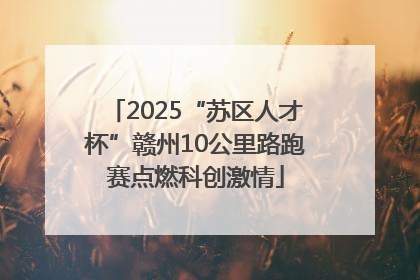 2025“苏区人才杯”赣州10公里路跑赛点燃科创激情